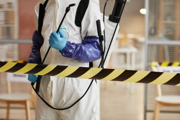 Professional Biohazard technician working in Oakwood, IL